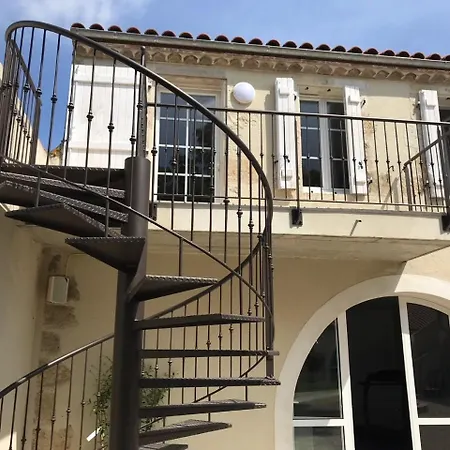 Le Continental Condom