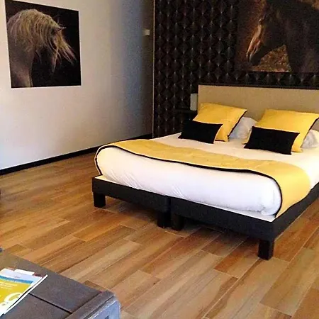 Hotel Le Continental Condom